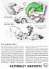 Corvette 1955 393.jpg